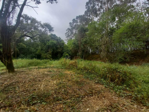 Imagem Chácara com 13 Quartos à Venda, 12.000 m² em Parque Imperador - Campinas Imagem Chácara com 13 Quartos à Venda, 12.000 m² em Parque Imperador - Campinas