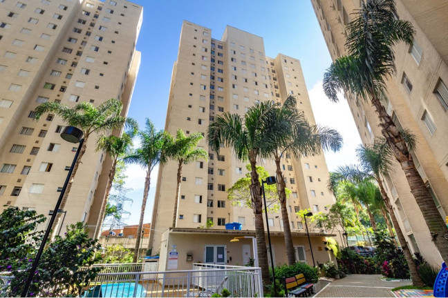 Imagem Apartamento com 3 Quartos à Venda, 63 m² em Jardim íris - São Paulo
