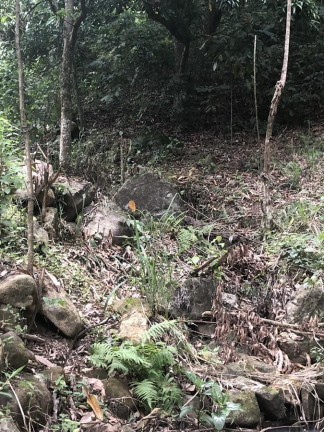 Imagem Terreno à Venda, 1.200 m² em Campo Grande - Rio De Janeiro Imagem Terreno à Venda, 1.200 m² em Campo Grande - Rio De Janeiro