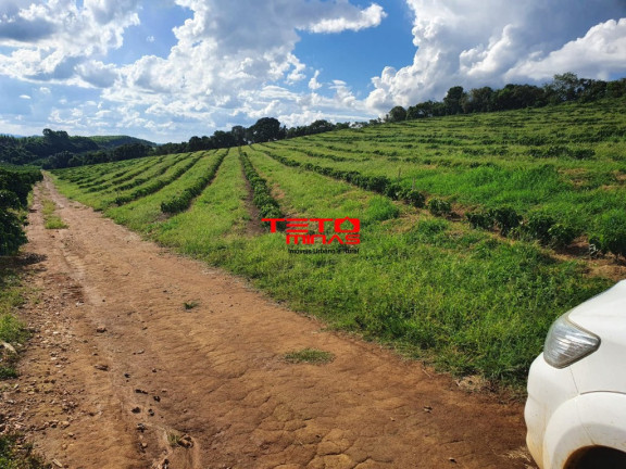 Imagem Imóvel à Venda, em Amparo - Santo Antônio Do Amparo Imagem Imóvel à Venda, em Amparo - Santo Antônio Do Amparo