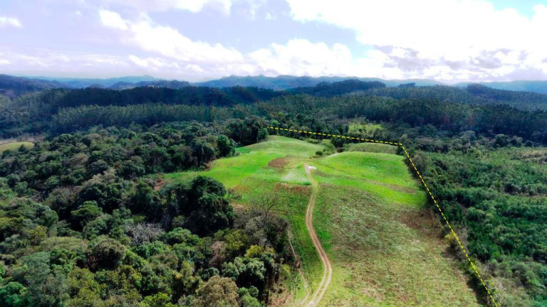 Imagem Imóvel com 6 Quartos à Venda, 250.000 m² em Zona Rural - Apiúna