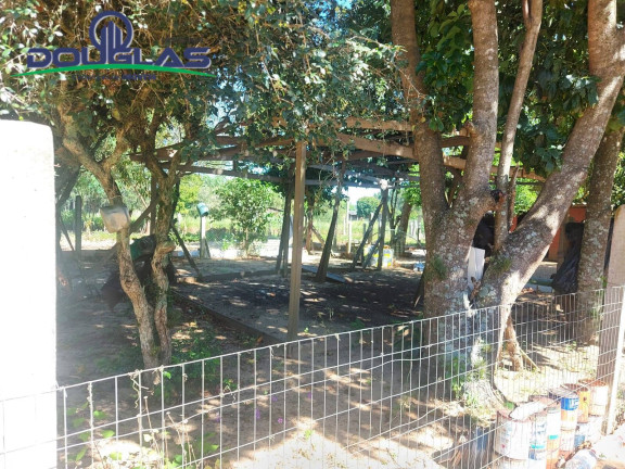 Imagem Chácara com 2 Quartos à Venda, 11.000 m² em Viamão Imagem Chácara com 2 Quartos à Venda, 11.000 m² em Viamão