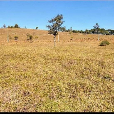 Imagem Chácara à Venda, 25.000 m² em Monte Belo - Taubaté Imagem Chácara à Venda, 25.000 m² em Monte Belo - Taubaté