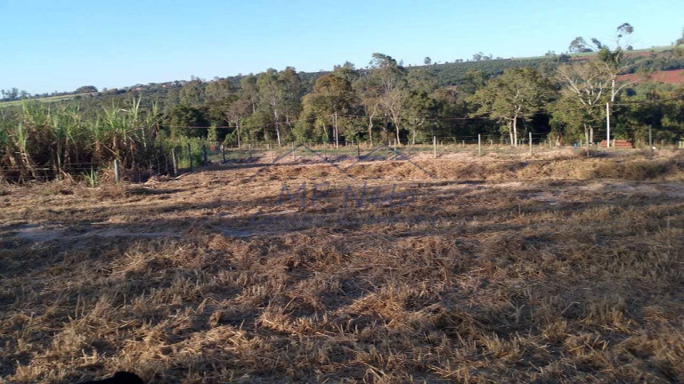 Imagem Fazenda à Venda, 2.500 m² em Vertentes Do Mamonal - Pirassununga Imagem Fazenda à Venda, 2.500 m² em Vertentes Do Mamonal - Pirassununga