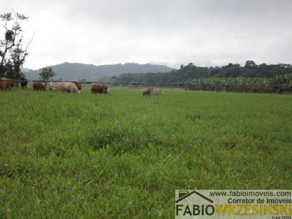 Imagem Fazenda à Venda, 1.510.000 m² em Centro - Garuva