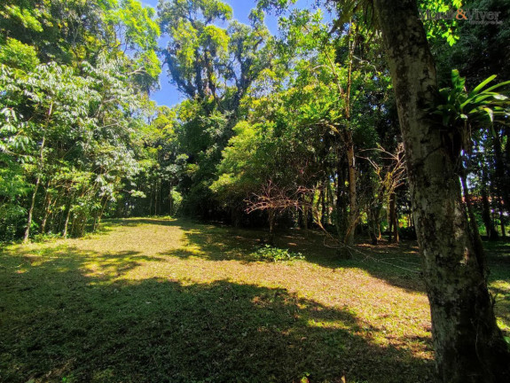 Imagem Chácara à Venda, 6.000 m² em Loteamento Chácara Chantecler - Piraquara Imagem Chácara à Venda, 6.000 m² em Loteamento Chácara Chantecler - Piraquara