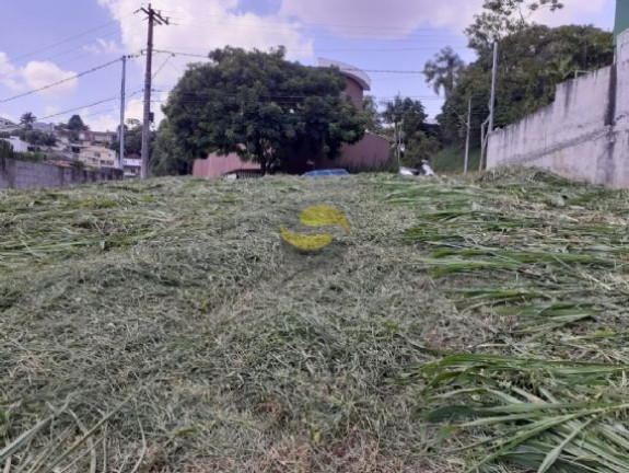 Imagem Terreno à Venda, 880 m² em Pousada Dos Bandeirantes - Carapicuíba Imagem Terreno à Venda, 880 m² em Pousada Dos Bandeirantes - Carapicuíba