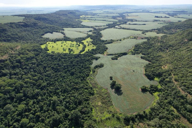 Imagem Fazenda à Venda, 160 m² em Zona Rural - Rio Verde