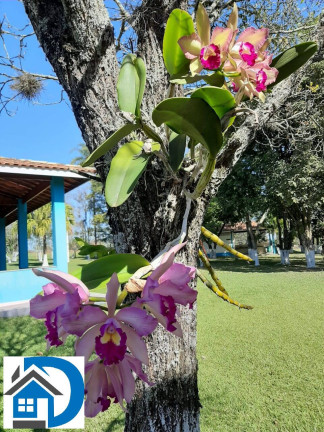 Imagem Chácara com 3 Quartos à Venda, 103 m² em Jutuba - Capela Do Alto