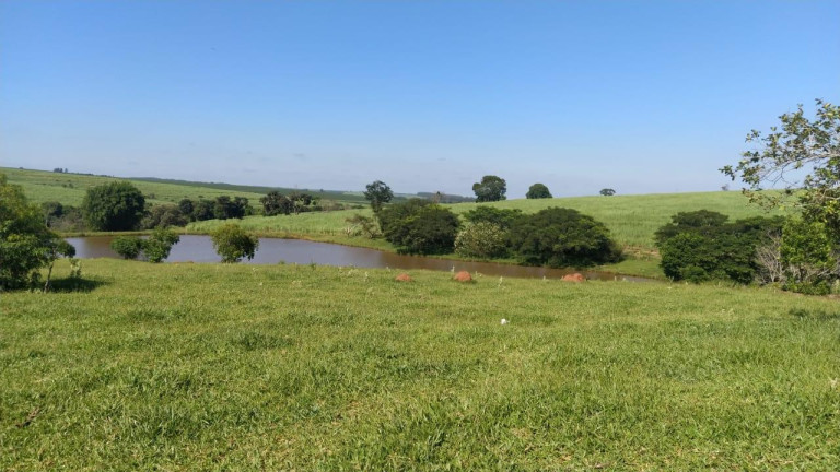 Imagem Fazenda à Venda, 278 m² em Rural - São Manuel Imagem Fazenda à Venda, 278 m² em Rural - São Manuel