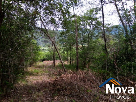 Imagem Imóvel à Venda, 120.000 m² em Linha Temerária - Nova Petrópolis Imagem Imóvel à Venda, 120.000 m² em Linha Temerária - Nova Petrópolis