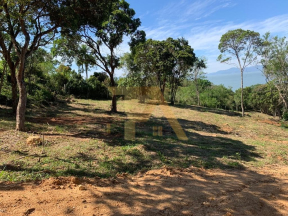 Imagem Fazenda à Venda, 24.000 m² em Itapeva - Imaruí Imagem Fazenda à Venda, 24.000 m² em Itapeva - Imaruí