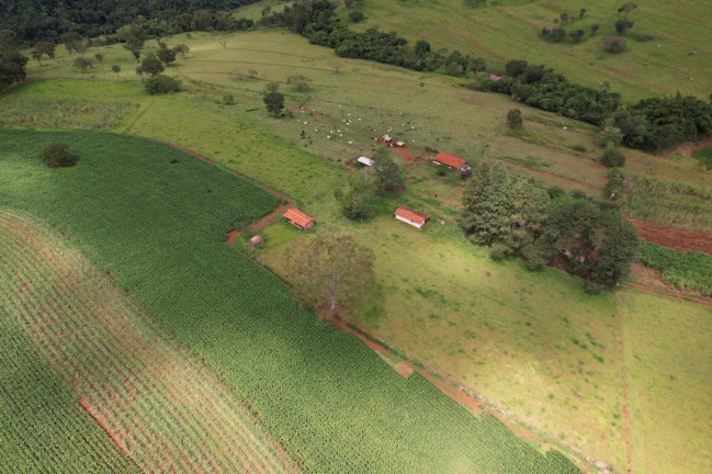 Imagem Chácara à Venda, 17 m² em Zona Rural - Cajuru