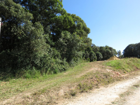 Imagem Terreno à Venda, 36.260 m² em Colonia Murici - São José Dos Pinhais Imagem Terreno à Venda, 36.260 m² em Colonia Murici - São José Dos Pinhais