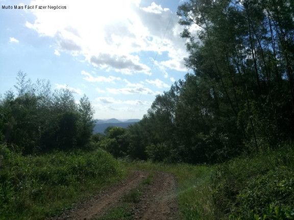 Imagem Terreno à Venda, 3 m² em Fazenda Pirajá - Nova Petrópolis