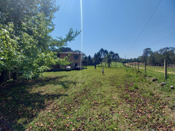 Imagem Fazenda à Venda, 250 m² em Zona Rural - Tijucas Do Sul Imagem Fazenda à Venda, 250 m² em Zona Rural - Tijucas Do Sul