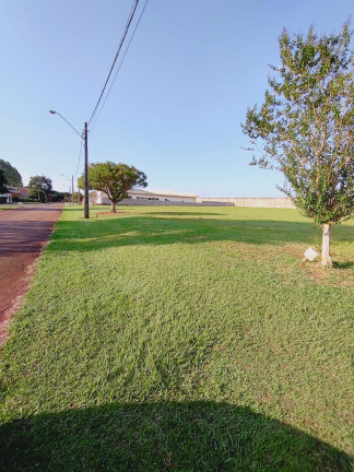 Imagem Terreno à Venda, em Residencial Jatobá Ii - Cesário Lange Imagem Terreno à Venda, em Residencial Jatobá Ii - Cesário Lange