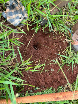 Imagem Fazenda à Venda, 38 m² em Rural - Piraju Imagem Fazenda à Venda, 38 m² em Rural - Piraju