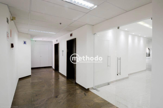 Imagem Sala Comercial para Alugar, 481 m² em Nova Campinas - Campinas Imagem Sala Comercial para Alugar, 481 m² em Nova Campinas - Campinas