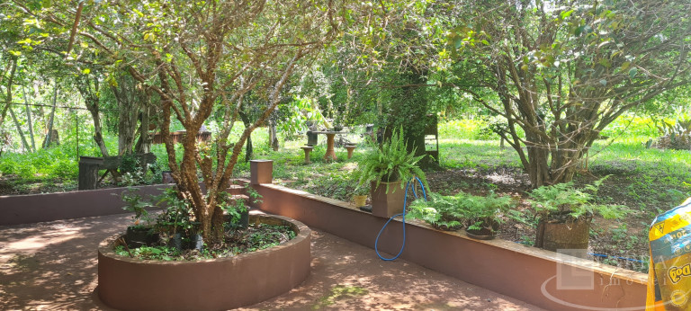 Imagem Imóvel com 2 Quartos à Venda, 150 m² em Jardim Helena - Ribeirão Preto Imagem Imóvel com 2 Quartos à Venda, 150 m² em Jardim Helena - Ribeirão Preto
