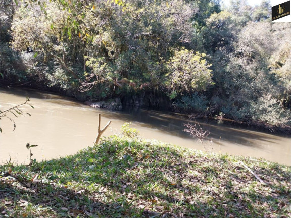 Imagem Imóvel com 5 Quartos à Venda, 30.000 m² em Margens Ro Da Varzea - Quitandinha