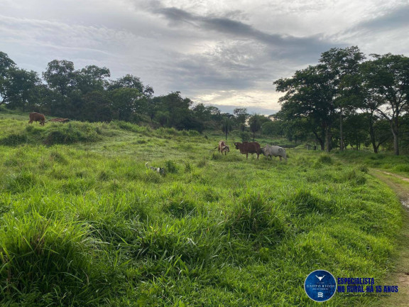 Imagem Chácara à Venda, 12 m² em Zona Rural - Campestre De Goiás Imagem Chácara à Venda, 12 m² em Zona Rural - Campestre De Goiás