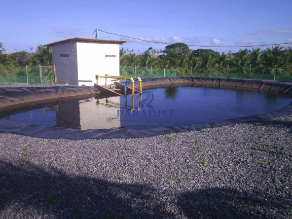 Imagem Fazenda à Venda, 640.000 m² em Barra De Itariri - Conde Imagem Fazenda à Venda, 640.000 m² em Barra De Itariri - Conde