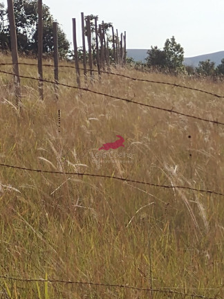 Imagem Terreno à Venda, 500 m² em Balneário água Limpa - Itabirito Imagem Terreno à Venda, 500 m² em Balneário água Limpa - Itabirito