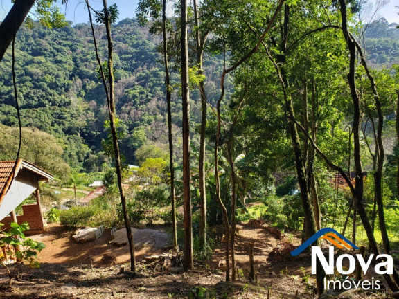 Imagem Imóvel à Venda, 6.862 m² em Vila Olinda - Nova Petrópolis