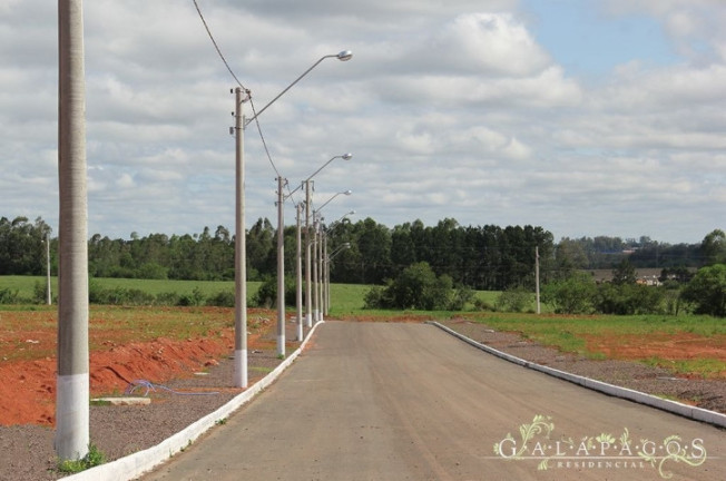 Imagem Terreno à Venda, 252 m² em Diácono João Luiz Pozzobon - Santa Maria Imagem Terreno à Venda, 252 m² em Diácono João Luiz Pozzobon - Santa Maria