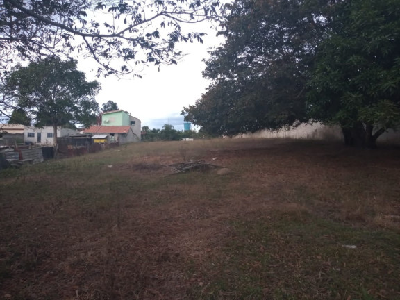 Foto do imóvel Terreno à Venda, 3.100 m² em Pedro Leme - Roseira