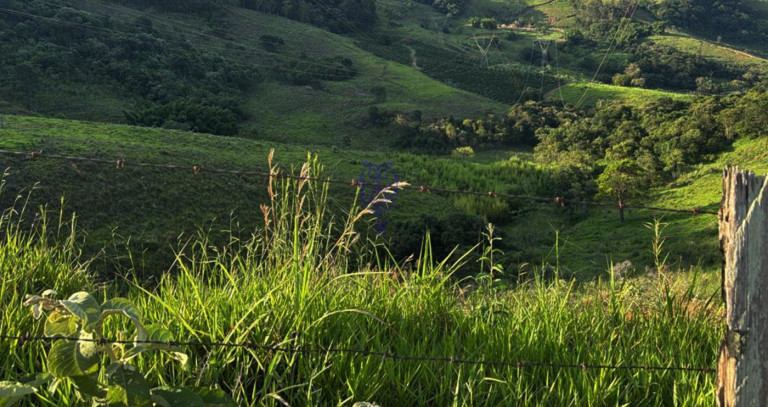 Imagem Casa à Venda, 240.000 m² em Vendão - Serra Negra Imagem Casa à Venda, 240.000 m² em Vendão - Serra Negra