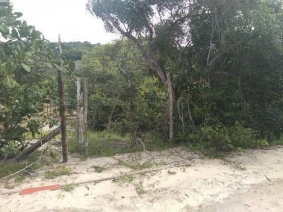 Imagem Terreno à Venda, 5 m² em Tibau Do Sul