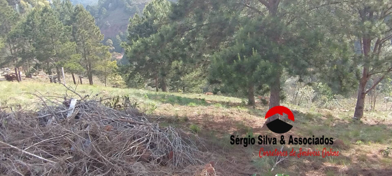 Imagem Terreno à Venda, 1.048 m² em Atalaia - Campos Do Jordão Imagem Terreno à Venda, 1.048 m² em Atalaia - Campos Do Jordão