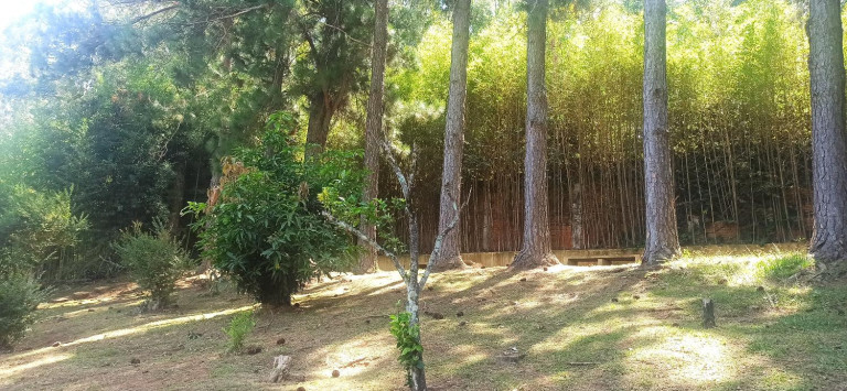 Imagem Casa de Condomínio com 4 Quartos à Venda, 209 m² em Centro - Morungaba Imagem Casa de Condomínio com 4 Quartos à Venda, 209 m² em Centro - Morungaba