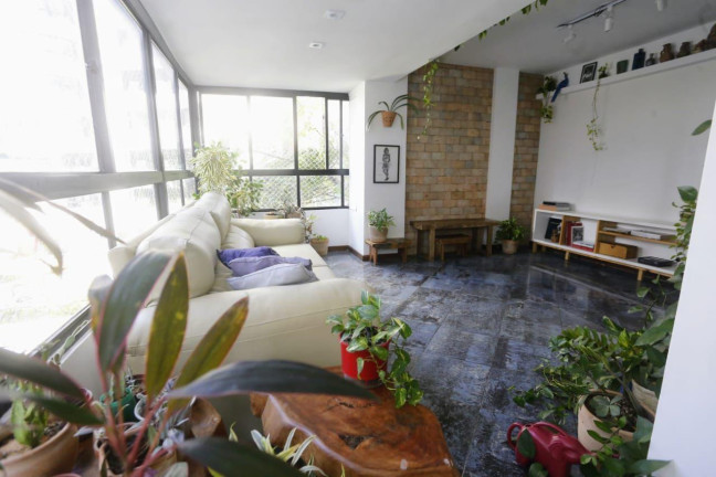Imagem Cobertura com 3 Quartos à Venda, 240 m² em Horto Florestal - Salvador