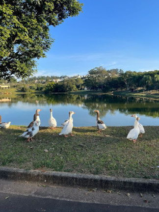 Imagem Terreno à Venda, 780 m² em Világio Paradiso - Louveira Imagem Terreno à Venda, 780 m² em Világio Paradiso - Louveira