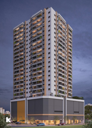 Imagem Apartamento com 2 Quartos à Venda, 52 m² em Cursino - São Paulo