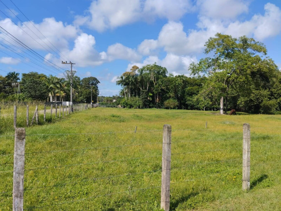 Imagem Terreno à Venda, 12.291 m² em Centro - Araquari Imagem Terreno à Venda, 12.291 m² em Centro - Araquari