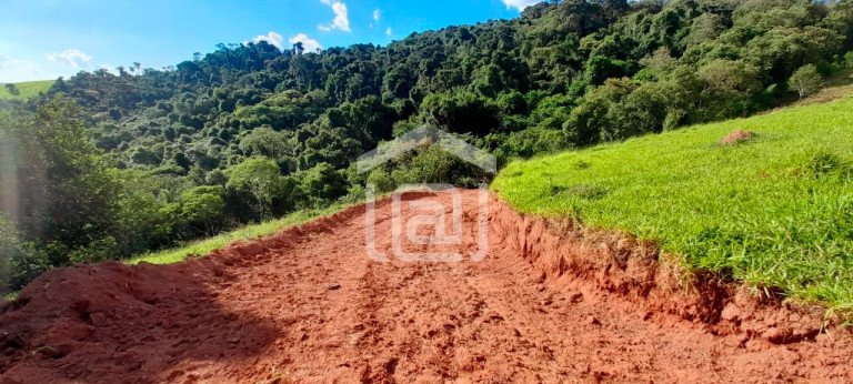 Imagem Imóvel com 1 Quarto à Venda, 44.000 m² em Roseira - Bandeira Do Sul
