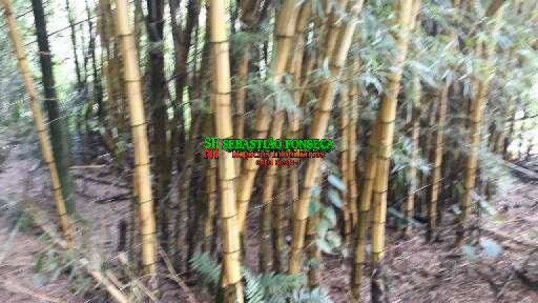 Imagem Chácara à Venda, 40.000 m² em São Francisco Xavier - São José Dos Campos Imagem Chácara à Venda, 40.000 m² em São Francisco Xavier - São José Dos Campos