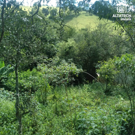 Imagem Imóvel à Venda, 500 m² em Rural - Bandeira Do Sul Imagem Imóvel à Venda, 500 m² em Rural - Bandeira Do Sul