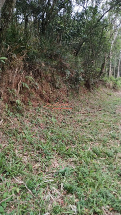 Imagem Chácara à Venda, 2.100 m²