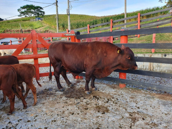 Imagem Fazenda à Venda, 115 m² em Centro - Paraibuna Imagem Fazenda à Venda, 115 m² em Centro - Paraibuna