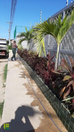 Imagem Apartamento com 2 Quartos à Venda, 48 m² em Pau Amarelo - Paulista