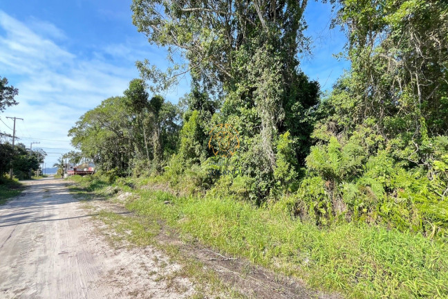 Imagem Terreno à Venda, 375 m² em Pontal Do Norte - Itapoá Imagem Terreno à Venda, 375 m² em Pontal Do Norte - Itapoá