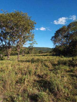 Imagem Fazenda à Venda, 237 m² em Zona Rural - Faina Imagem Fazenda à Venda, 237 m² em Zona Rural - Faina