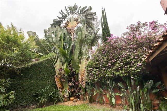 Imagem Casa com 3 Quartos à Venda, 300 m² em Morumbi - São Paulo