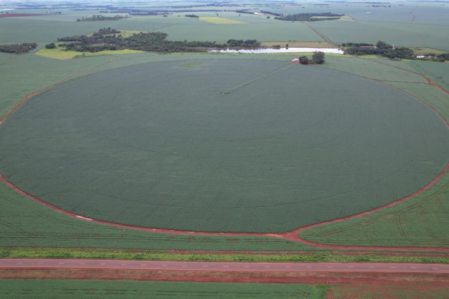 Imagem Fazenda à Venda, 17 m² em Zona Rural - Acreúna Imagem Fazenda à Venda, 17 m² em Zona Rural - Acreúna