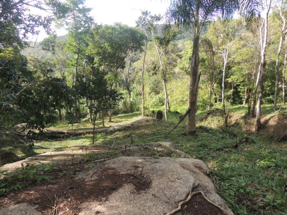 Imagem Terreno à Venda, 20.000 m² em Macacu - Garopaba Imagem Terreno à Venda, 20.000 m² em Macacu - Garopaba